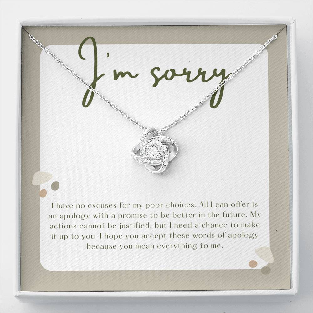 I'm Sorry Apology Gift, Sorry to Spouse, Sorry for Partner, I'm Sorry Gift Necklace, Please Forgive Me