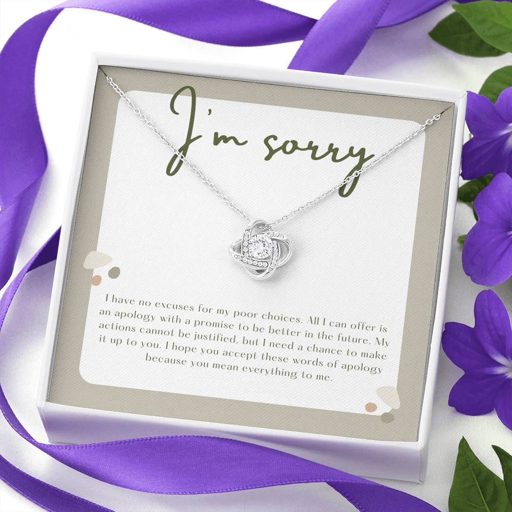 I'm Sorry Apology Gift, Sorry to Spouse, Sorry for Partner, I'm Sorry Gift Necklace, Please Forgive Me