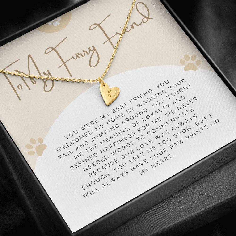 Dog Memorial Gift, Gift for Dog That Passed Away, Pet Memorial Gift Necklace
