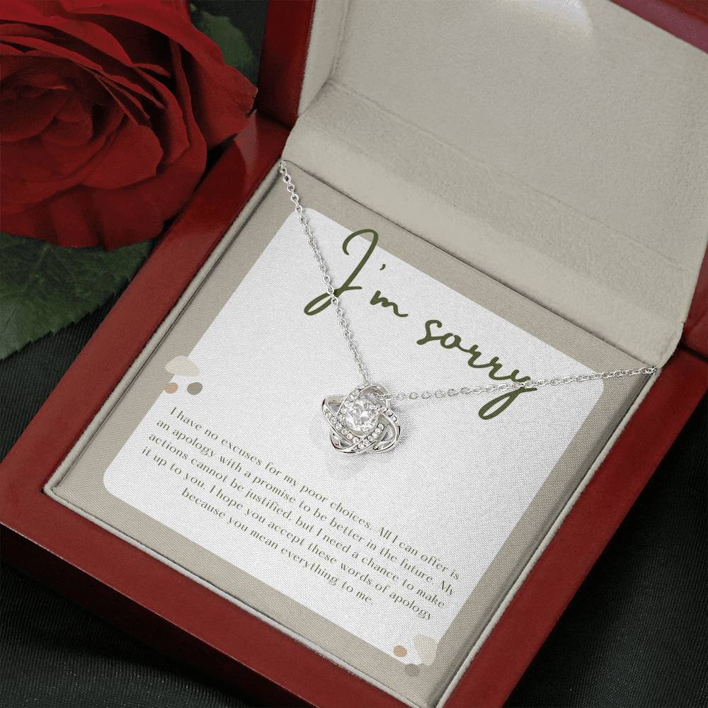 I'm Sorry Apology Gift, Sorry to Spouse, Sorry for Partner, I'm Sorry Gift Necklace, Please Forgive Me