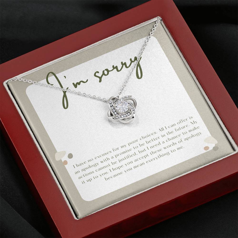 I'm Sorry Apology Gift, Sorry to Spouse, Sorry for Partner, I'm Sorry Gift Necklace, Please Forgive Me